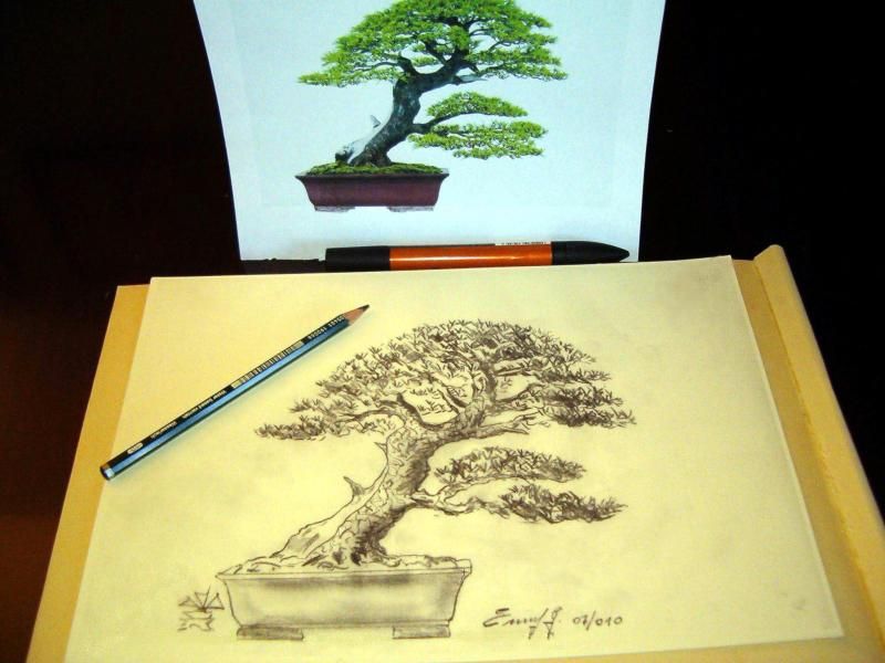 Bonsai Suiseki Magazine
