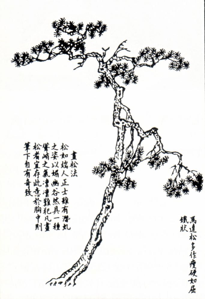 Bonsai Suiseki Magazine