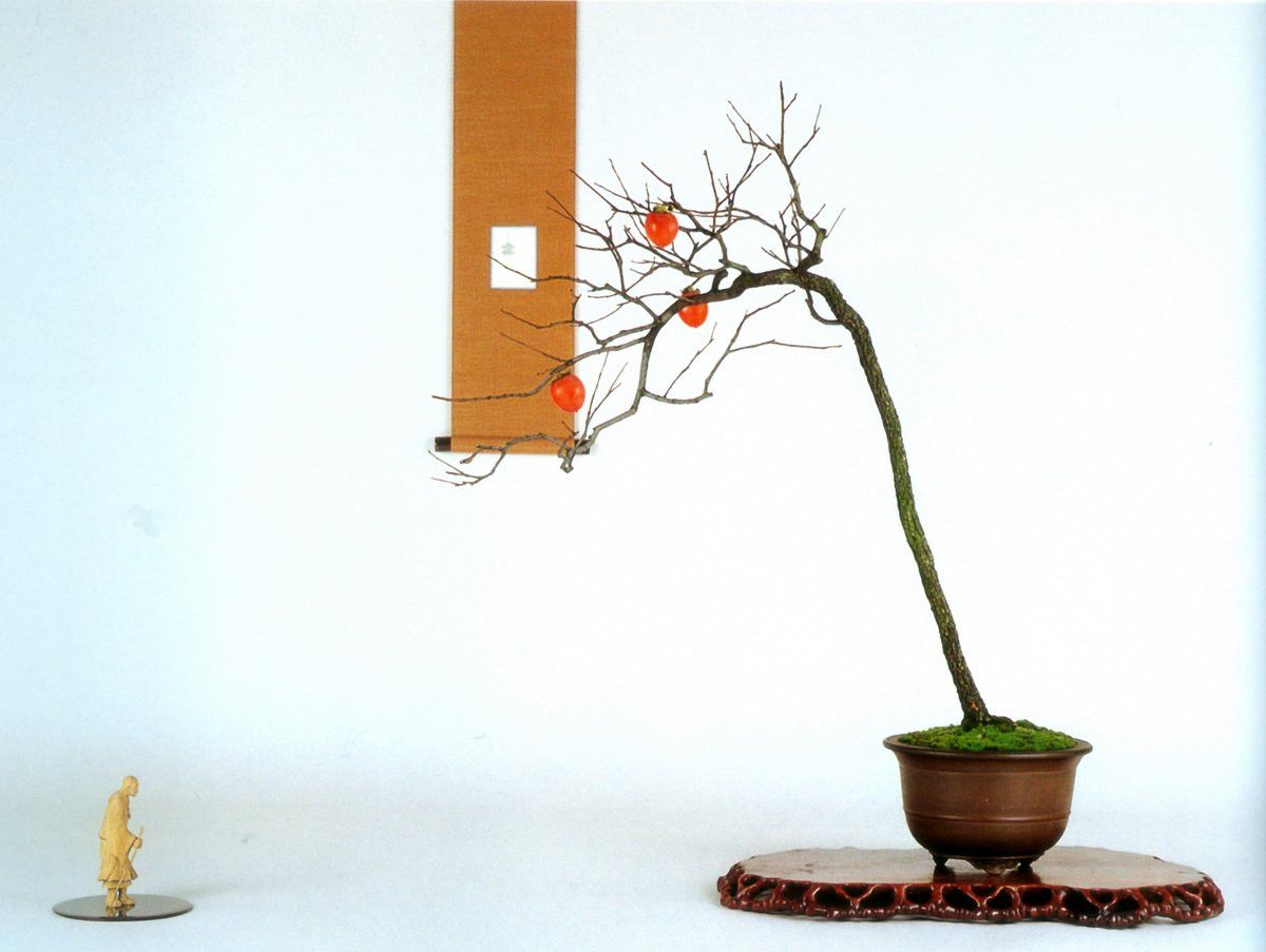 Bonsai Suiseki Magazine