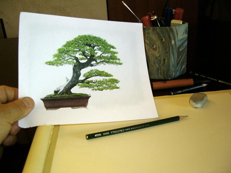 Bonsai Suiseki Magazine