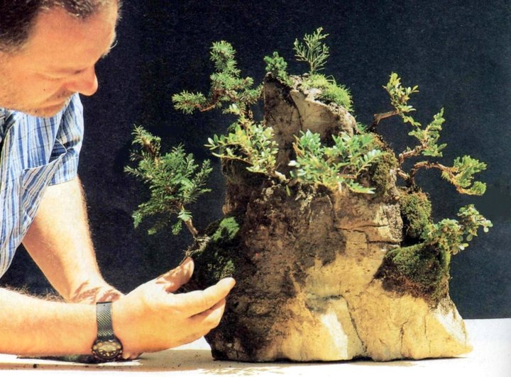 Bonsai Suiseki Magazine