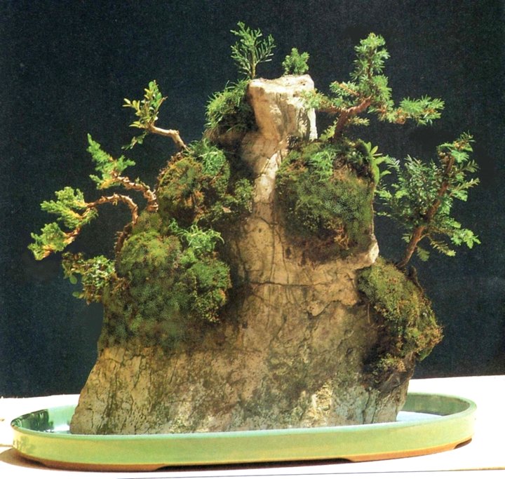 Bonsai Suiseki Magazine