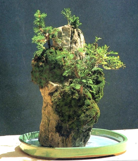Bonsai Suiseki Magazine