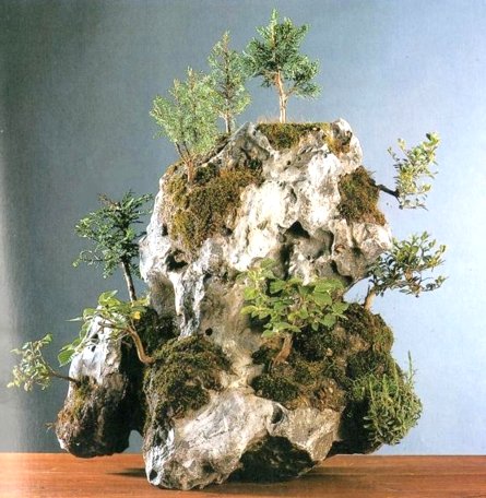 Bonsai Suiseki Magazine