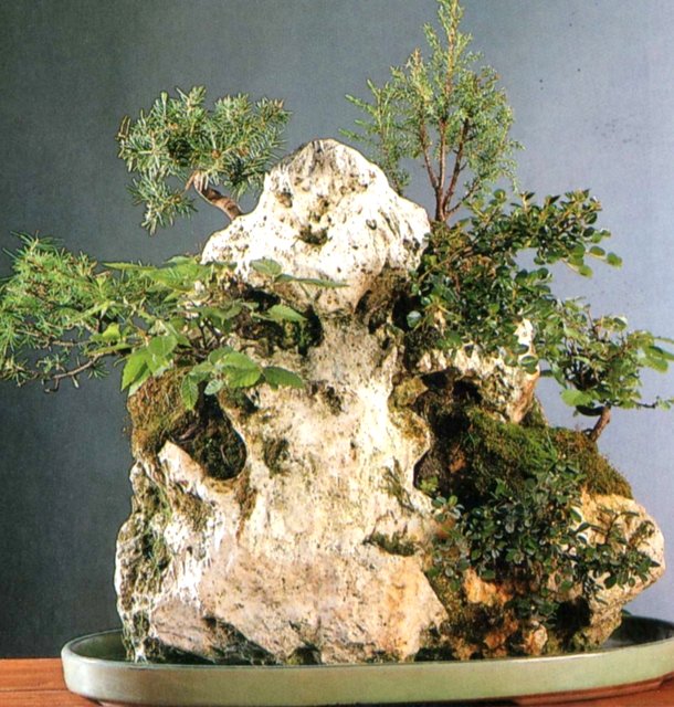 Bonsai Suiseki Magazine