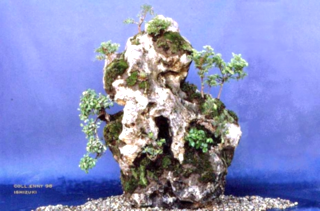 Bonsai Suiseki Magazine