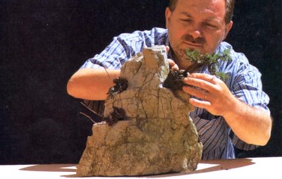 Bonsai Suiseki Magazine