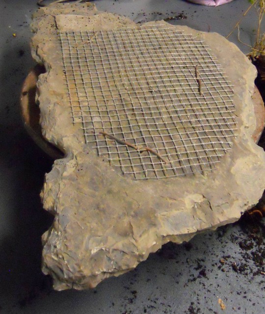 Bonsai Suiseki Magazine