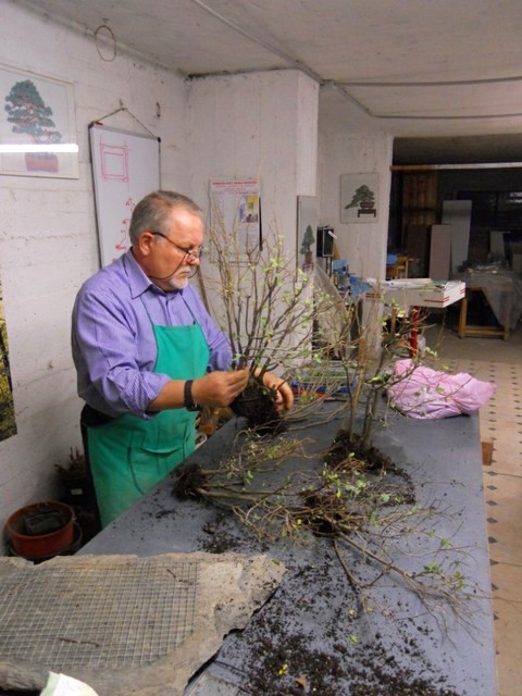 Bonsai Suiseki Magazine