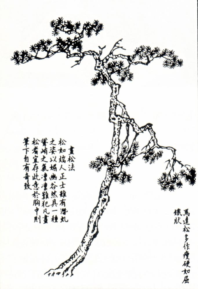 Bonsai Suiseki Magazine