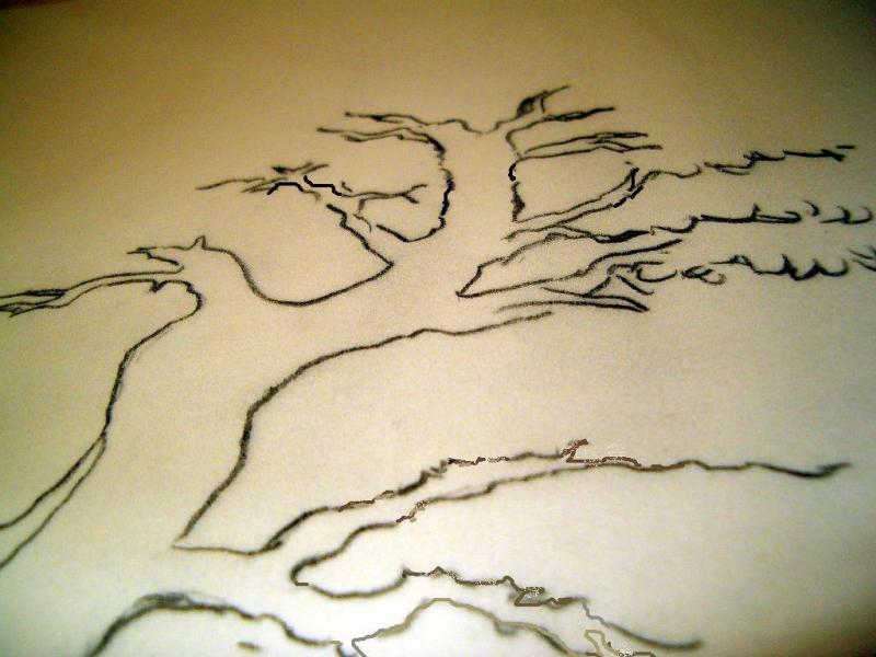 Bonsai Suiseki Magazine