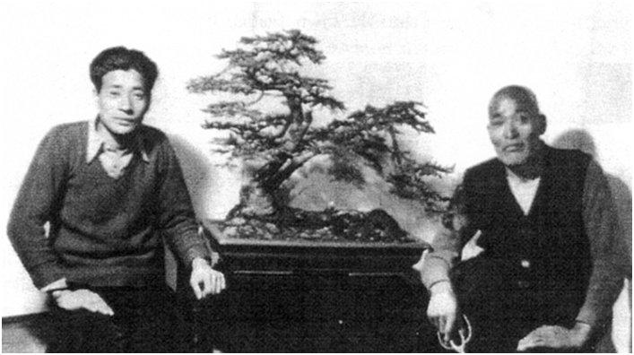 Bonsai Suiseki Magazine