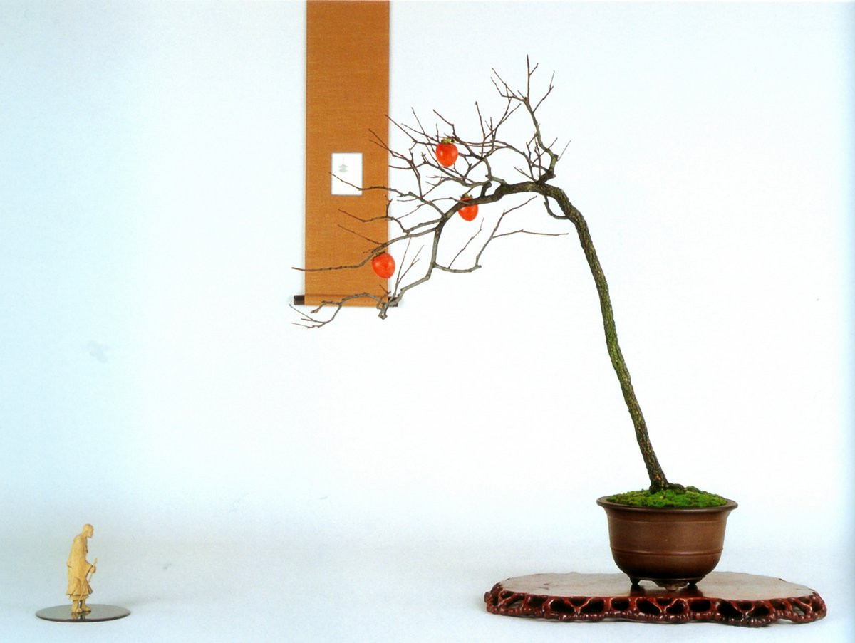 Bonsai Suiseki Magazine