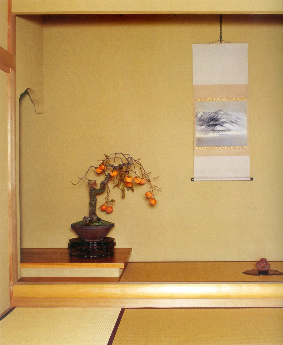 Bonsai Suiseki Magazine
