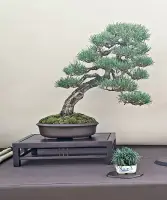 715553047_27122174320768113_8303876927089057934_n_original